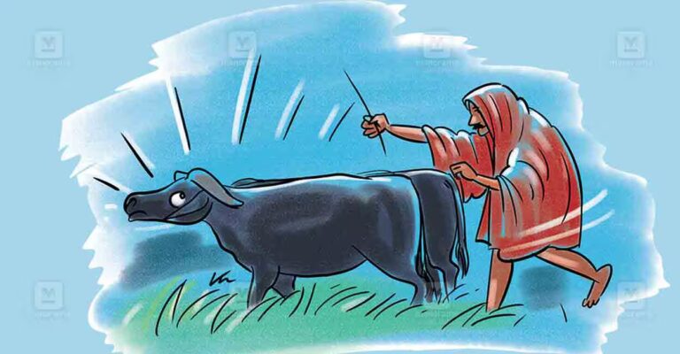 cattle-theft.jpg
