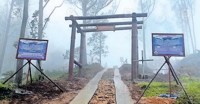 chokramudi-neelakurinji-sanctuary-1.jpg
