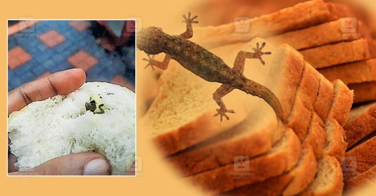 dead-lizards-bread-palluruthy.jpg