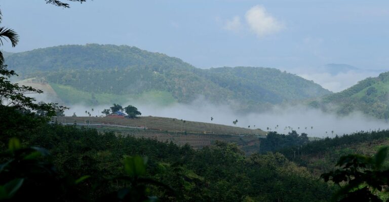eco-sensitive-zone-pathanamthitta.jpg