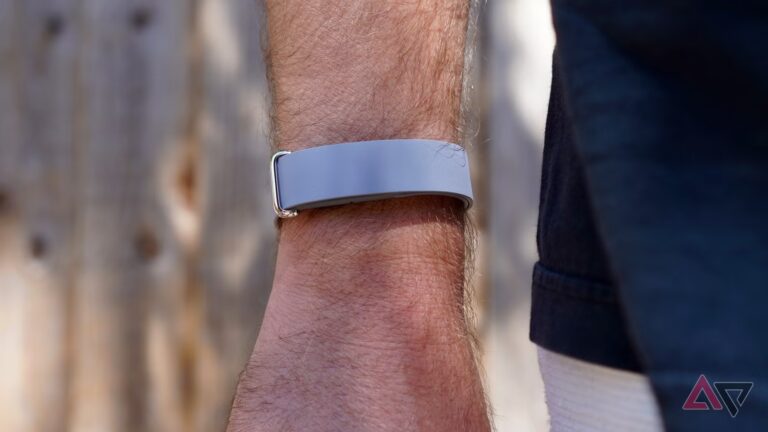 fitbit-air-elevated.JPG