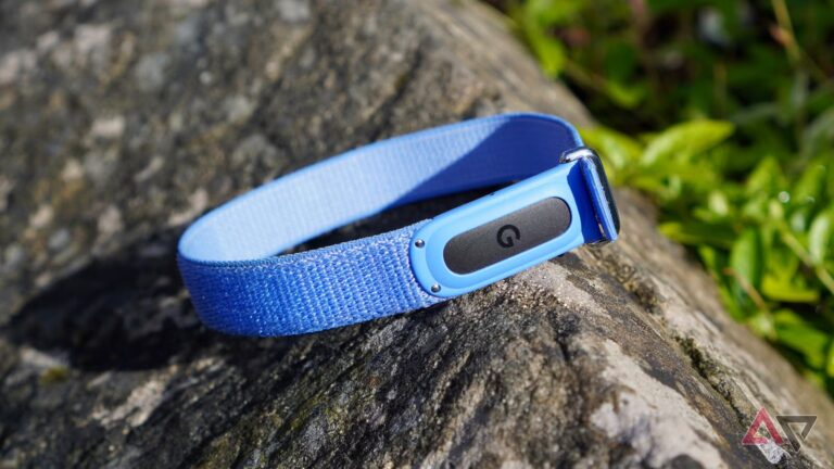 fitbit-air-logo-module.JPG