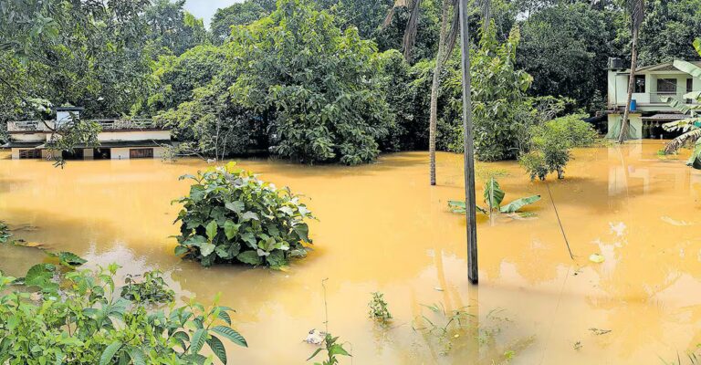 flood-knr2.jpg