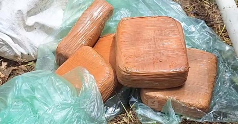 ganja-seizure-kozhikode-1.jpg
