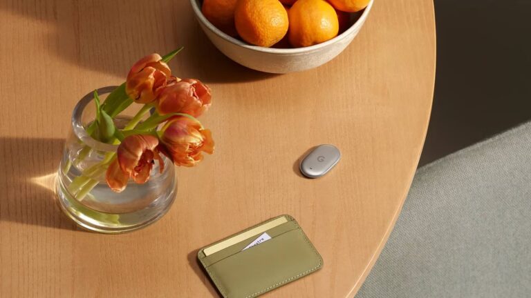 google-pixel-tag-table-wallet-flowers-fruit-lifestyle.jpg