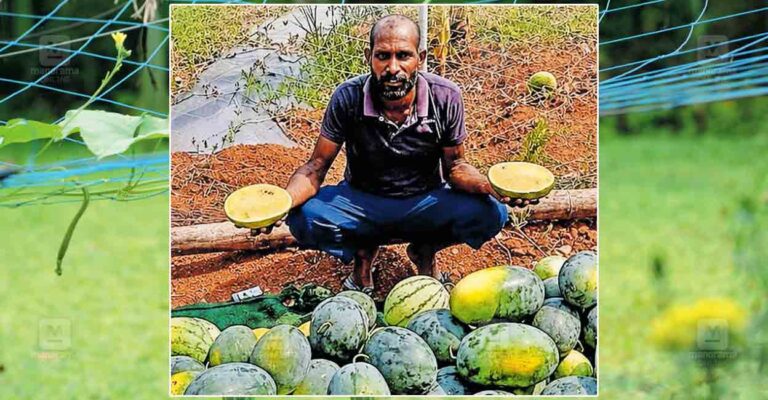 kattur-kudumbashree-fraud.jpg