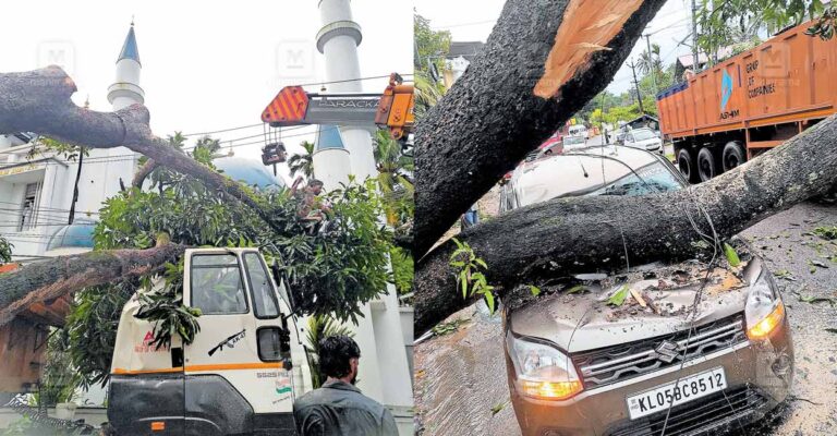 kottayam-rain-01.jpg