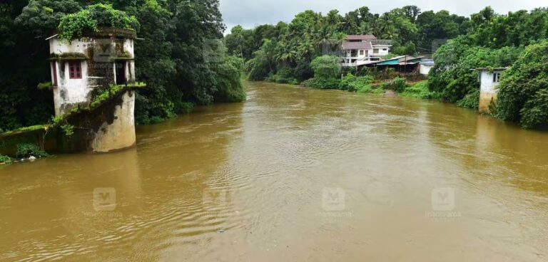 meenachil-river-bharananganam.jpg