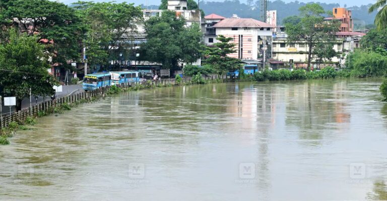 meenachil-river-pala.jpg