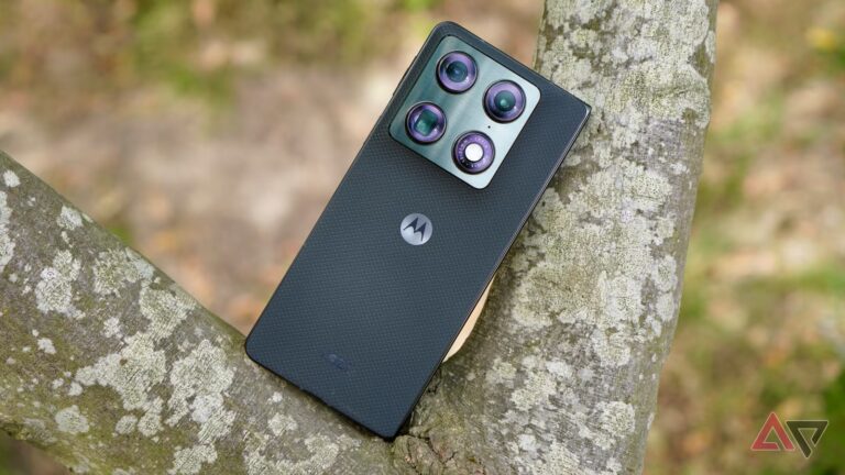 motorola-razr-fold-back-tree-1.JPG