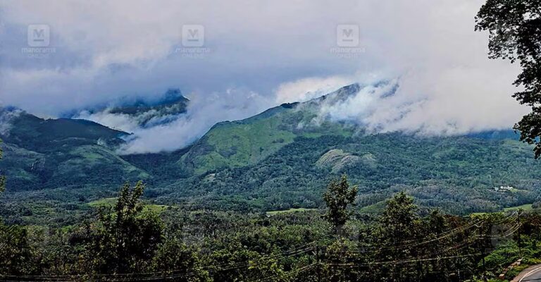 munnar-monsoon-tourism.jpg