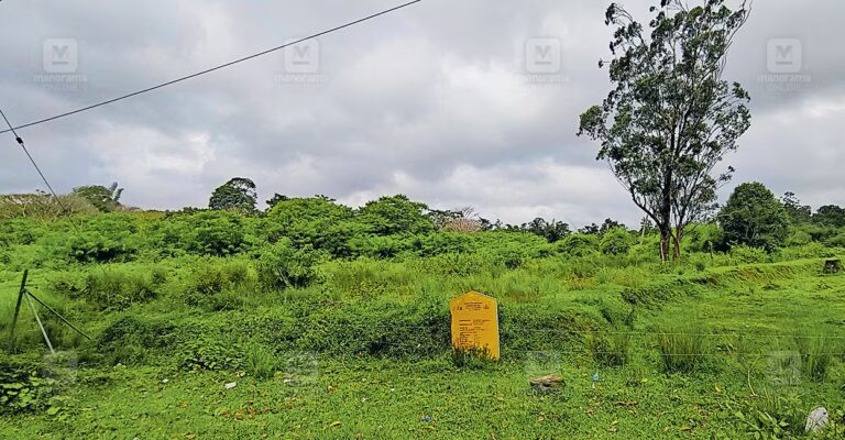 muthanga-land-protest-verdict-1.jpg
