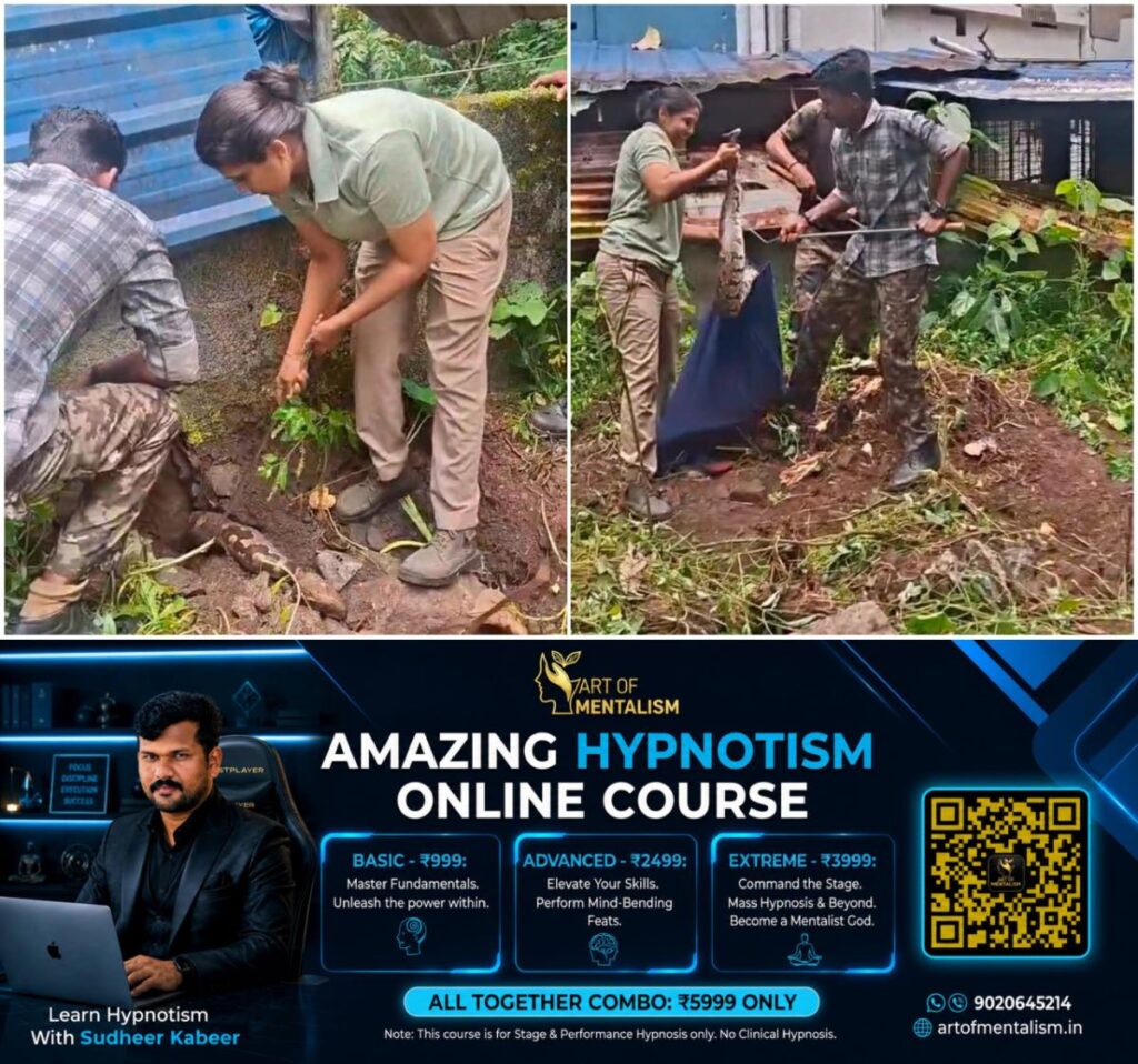 newskerala.net_1785535626_w-1280h-720format-jpgimgid-01kyx3144ywz17hg7w687d6eewimgname-python-caught-1785535172766