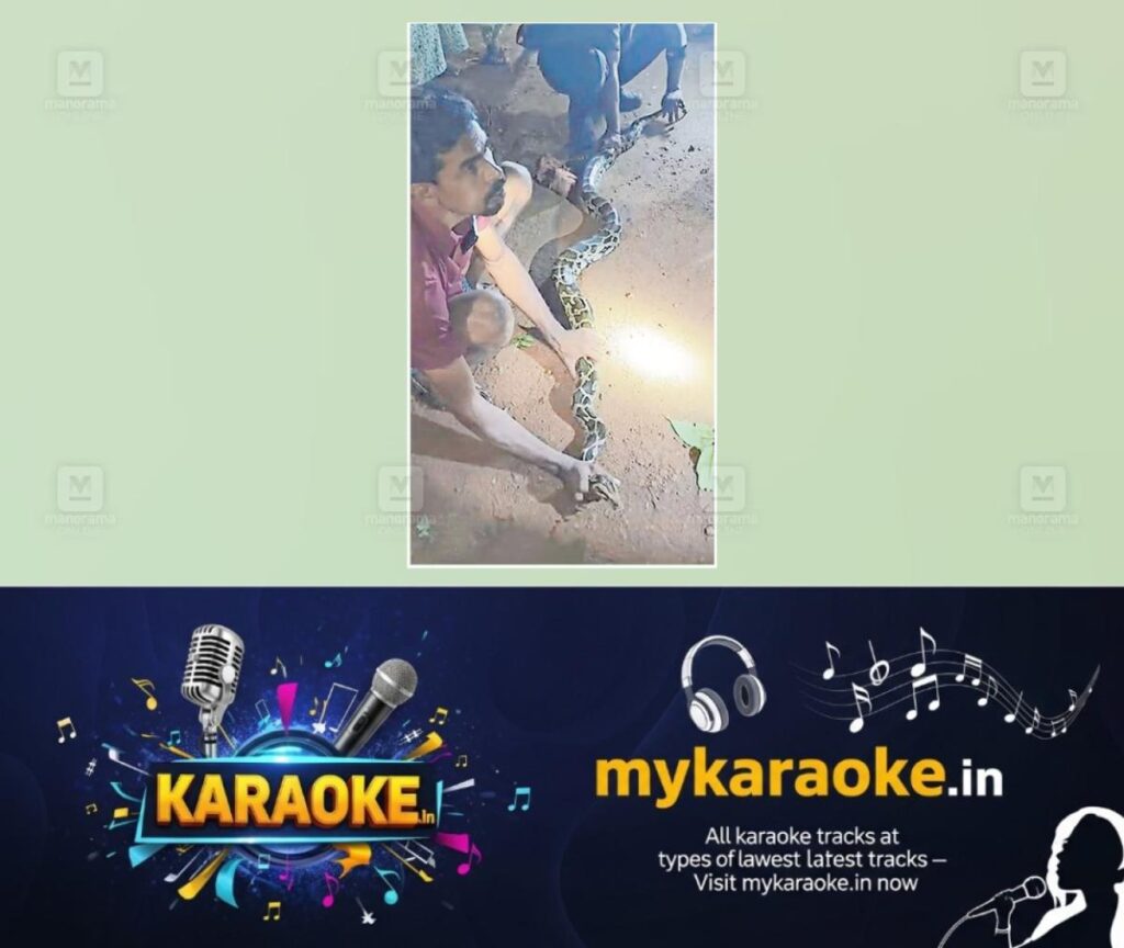 newskerala.net_1785556564_idayappara-python-caught-1
