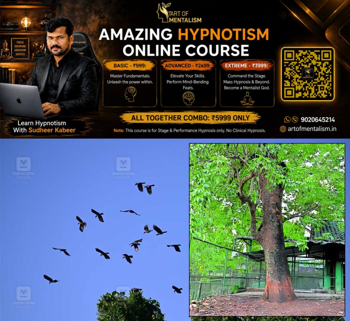 newskerala.net_1785841987_trivandrum-zoo-tree