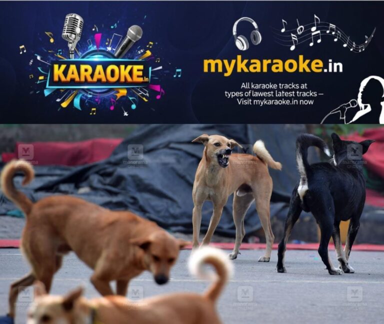 newskerala.net_1785925748_Stray-dog-fight