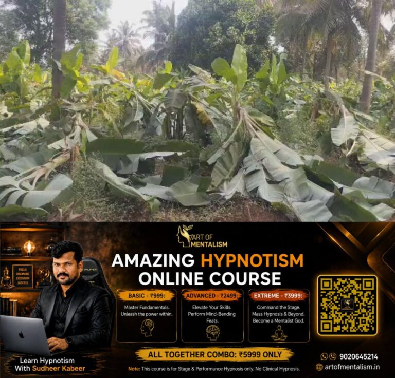 newskerala.net_1786004286_w-1280h-720format-jpgimgid-01kn1zm15gbx2cg6m0c478ypm5imgname-chikkamagaluru-banana-plants-177496