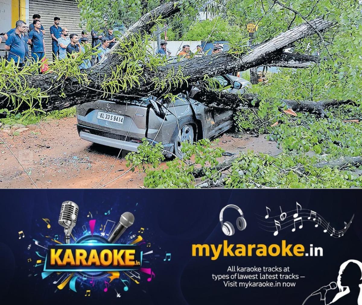 newskerala.net_1786070408_tree-car-accident-changanassery-1
