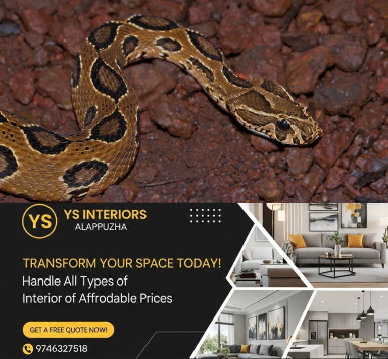 newskerala.net_1786079766_viper-snake