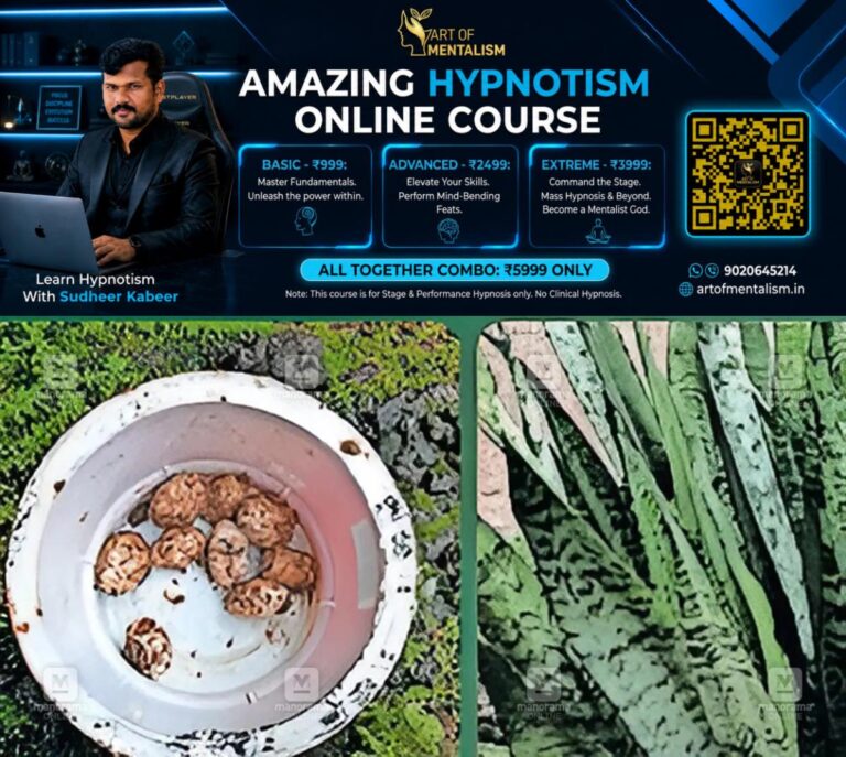 newskerala.net_1786271285_python-eggs-snake-plant-1