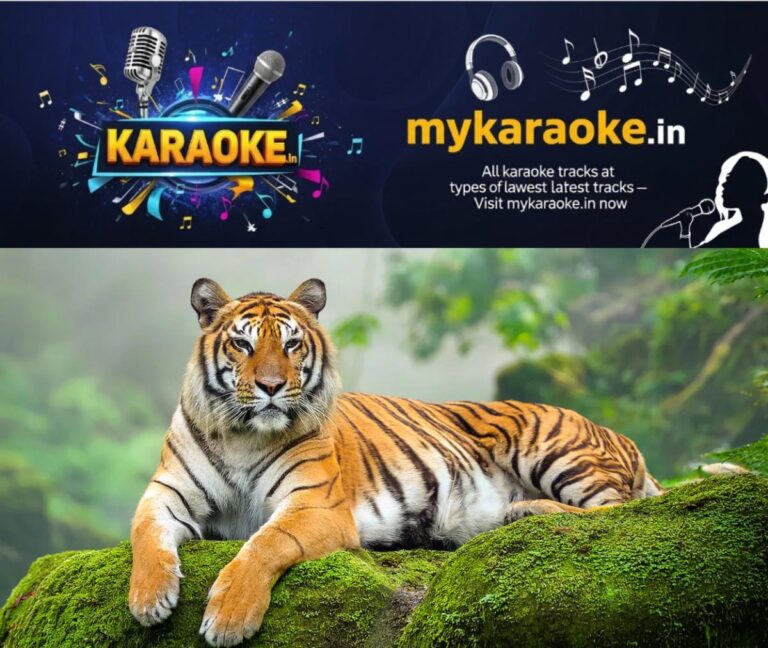 newskerala.net_1786293964_tiger-Ox-Studio-Photography-shutterstock