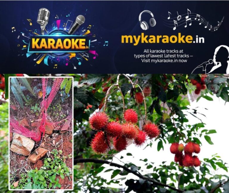 newskerala.net_1786422485_Rambutan-tree-snake
