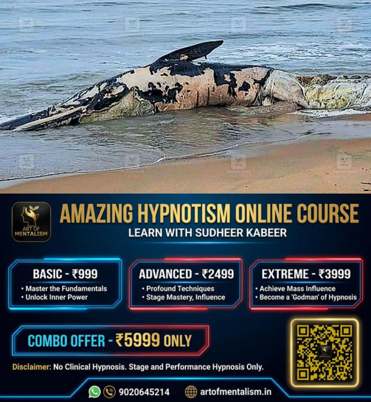 newskerala.net_1786428365_whale-azhikode-beach