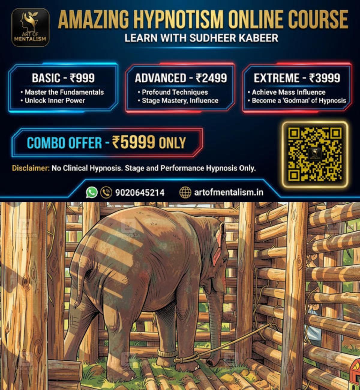 newskerala.net_1786510206_mission-makhna-elephant-capture-3