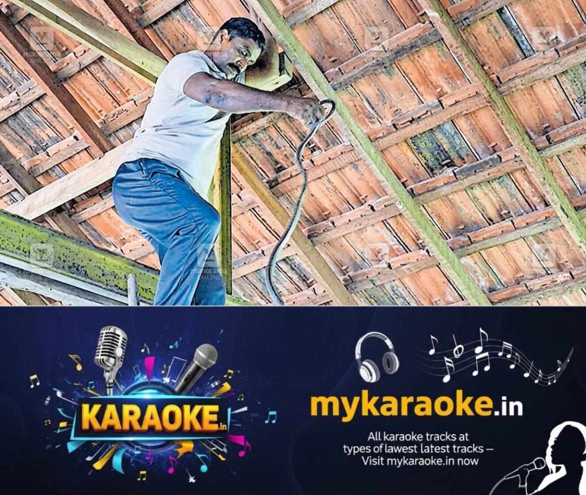 newskerala.net_1786513751_snake-mavoor-school-1