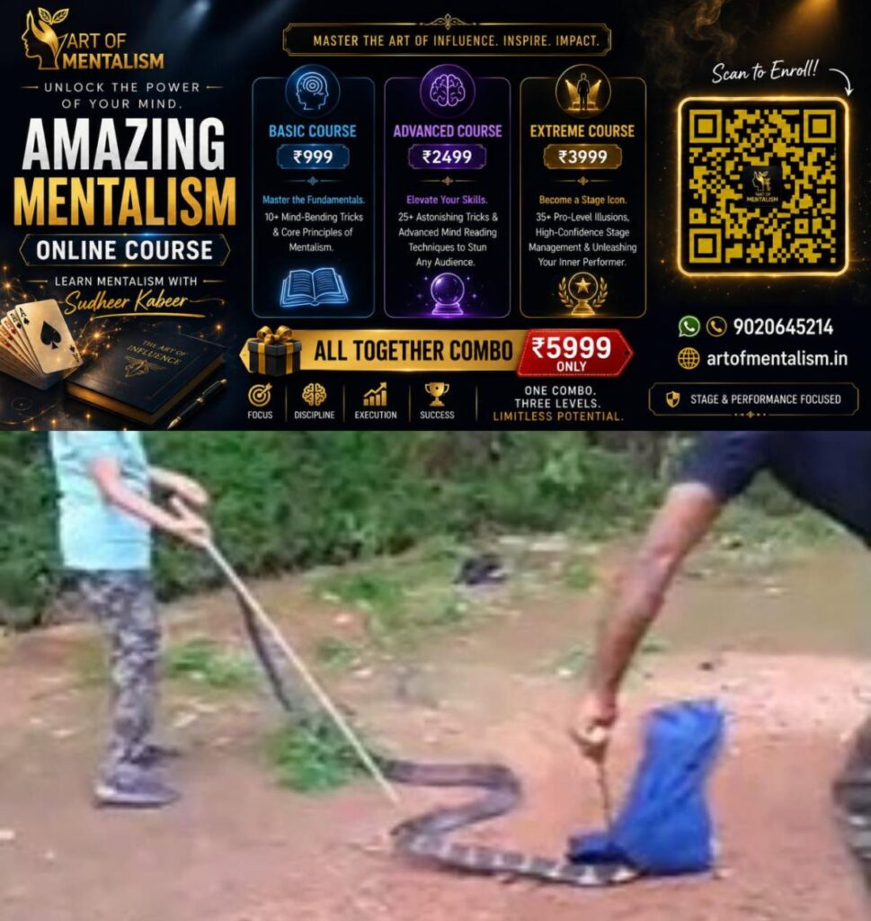 newskerala.net_1786549925_w-1280h-720format-jpgimgid-01kzva25m57gs90cr9c76jt0dkimgname-king-cobra-1786549180037