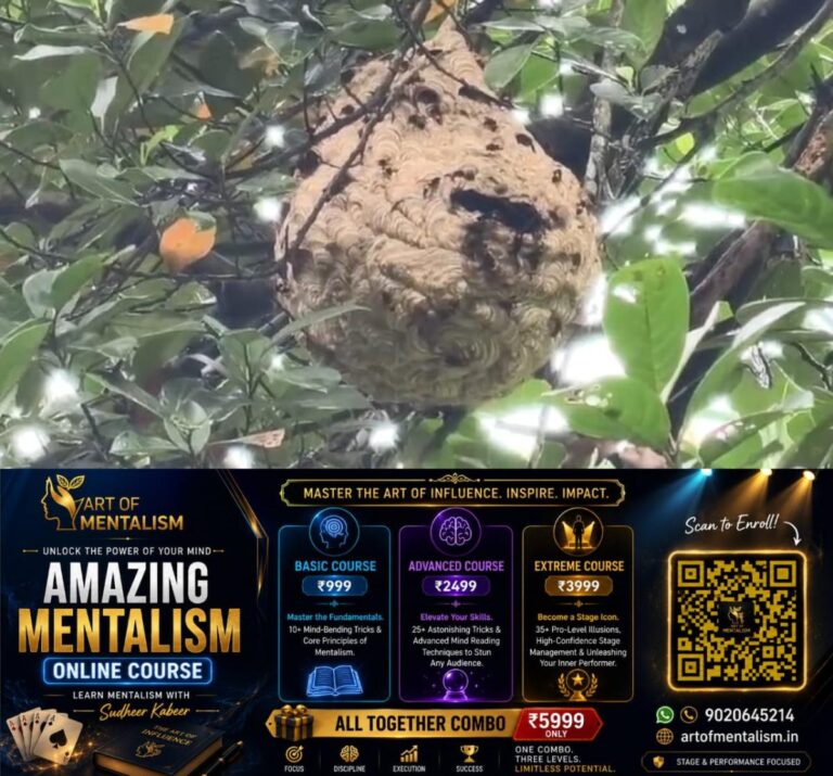 newskerala.net_1786577646_w-1280h-720format-jpgimgid-01kzvw87kck7vexsfjd1b1d0svimgname-1000401821-1786568253036