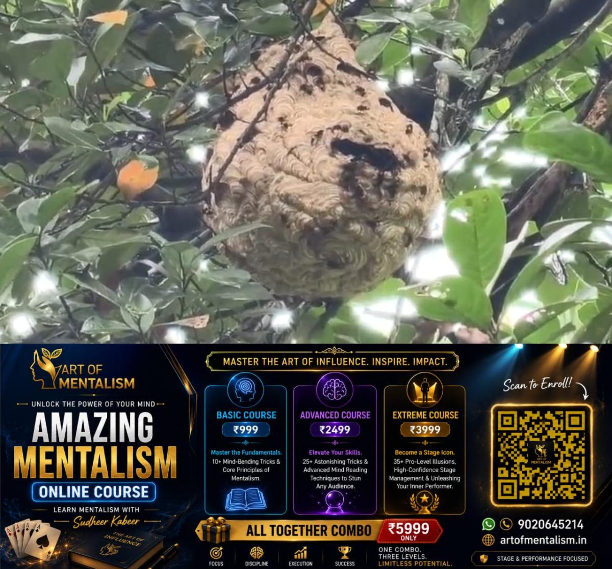 newskerala.net_1786577646_w-1280h-720format-jpgimgid-01kzvw87kck7vexsfjd1b1d0svimgname-1000401821-1786568253036
