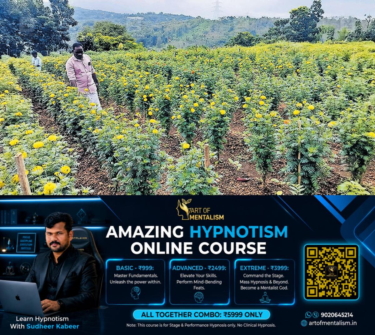 newskerala.net_1786585684_marigold-cultivation-s-gopi-1