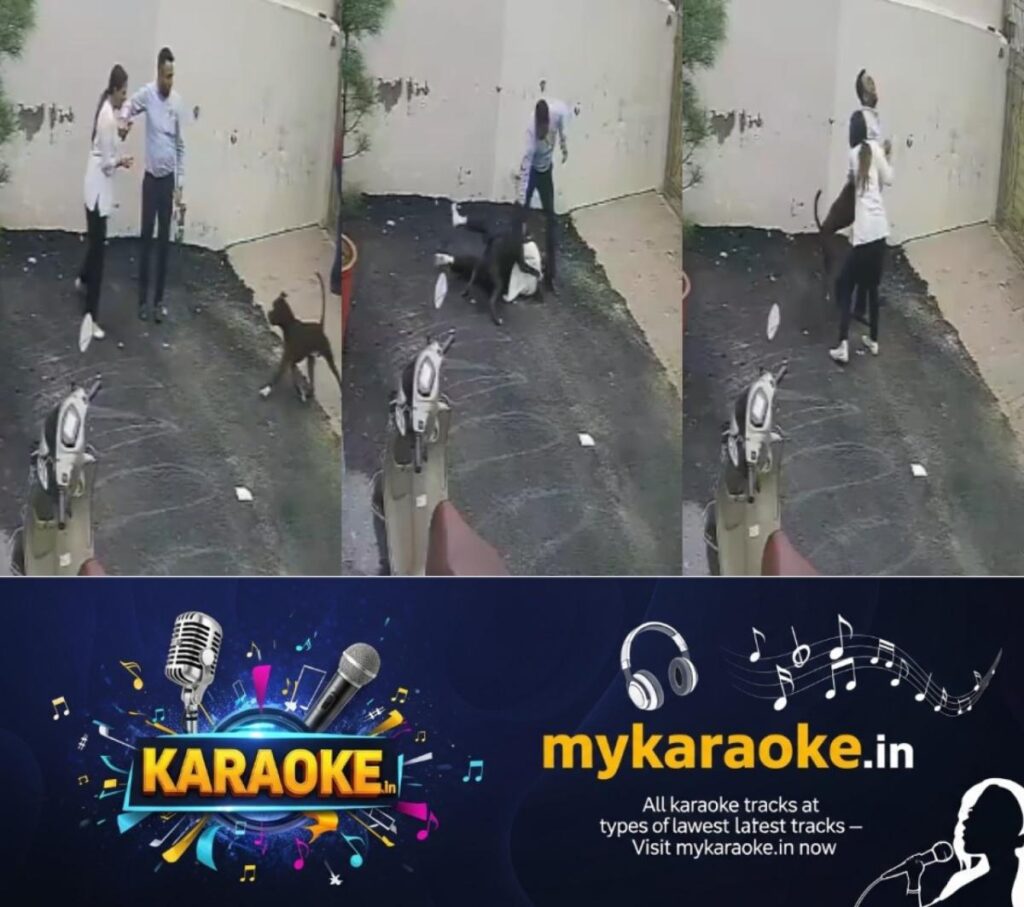 newskerala.net_1786607286_w-1280h-720format-jpgimgid-01kzx07mx7xx9a0qy2k8dj4y75imgname-pitbull-attack-punjab-couple-178660