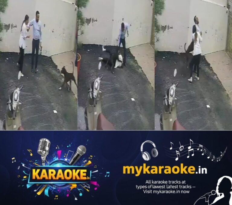 newskerala.net_1786607286_w-1280h-720format-jpgimgid-01kzx07mx7xx9a0qy2k8dj4y75imgname-pitbull-attack-punjab-couple-178660
