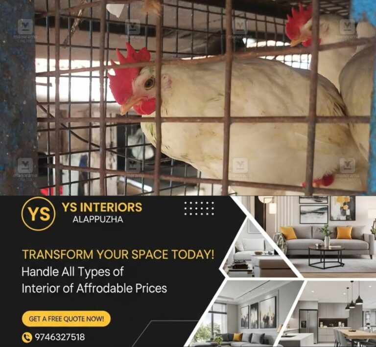 newskerala.net_1786675325_chicken