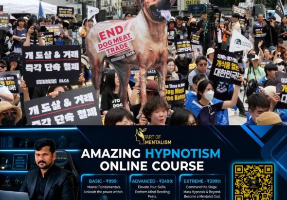 newskerala.net_1786726325_dog-meet-trade