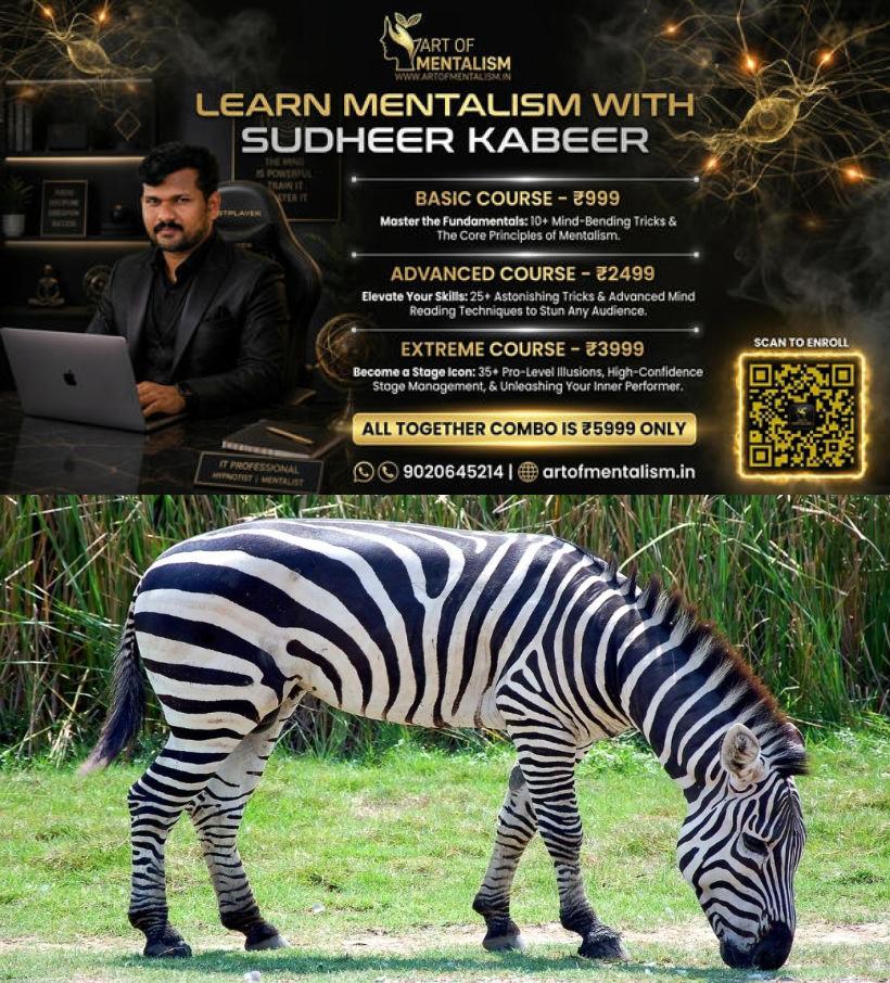 newskerala.net_1786805534_zebra