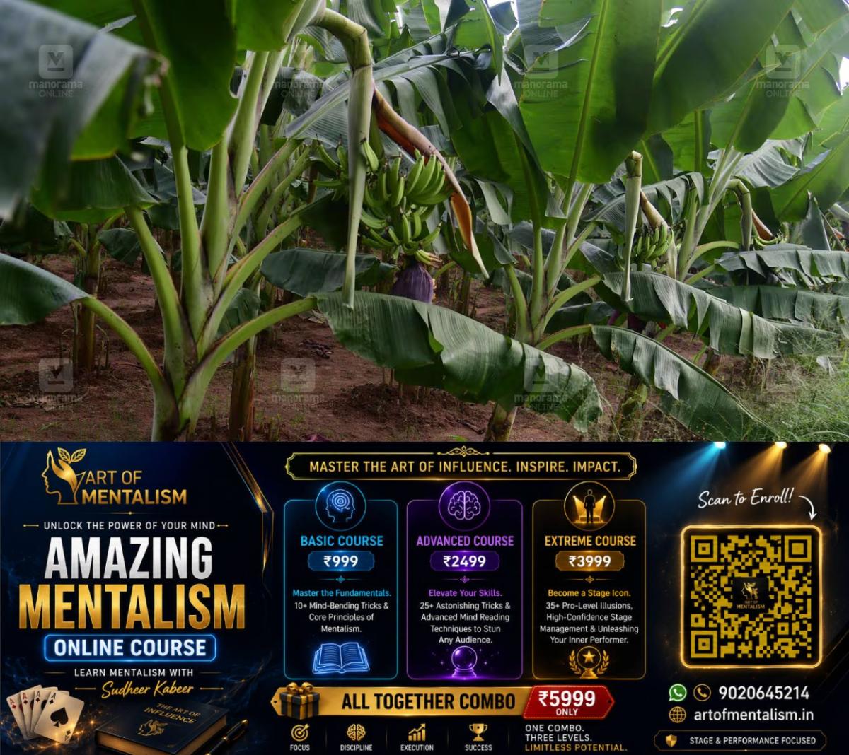 newskerala.net_1786854244_banana
