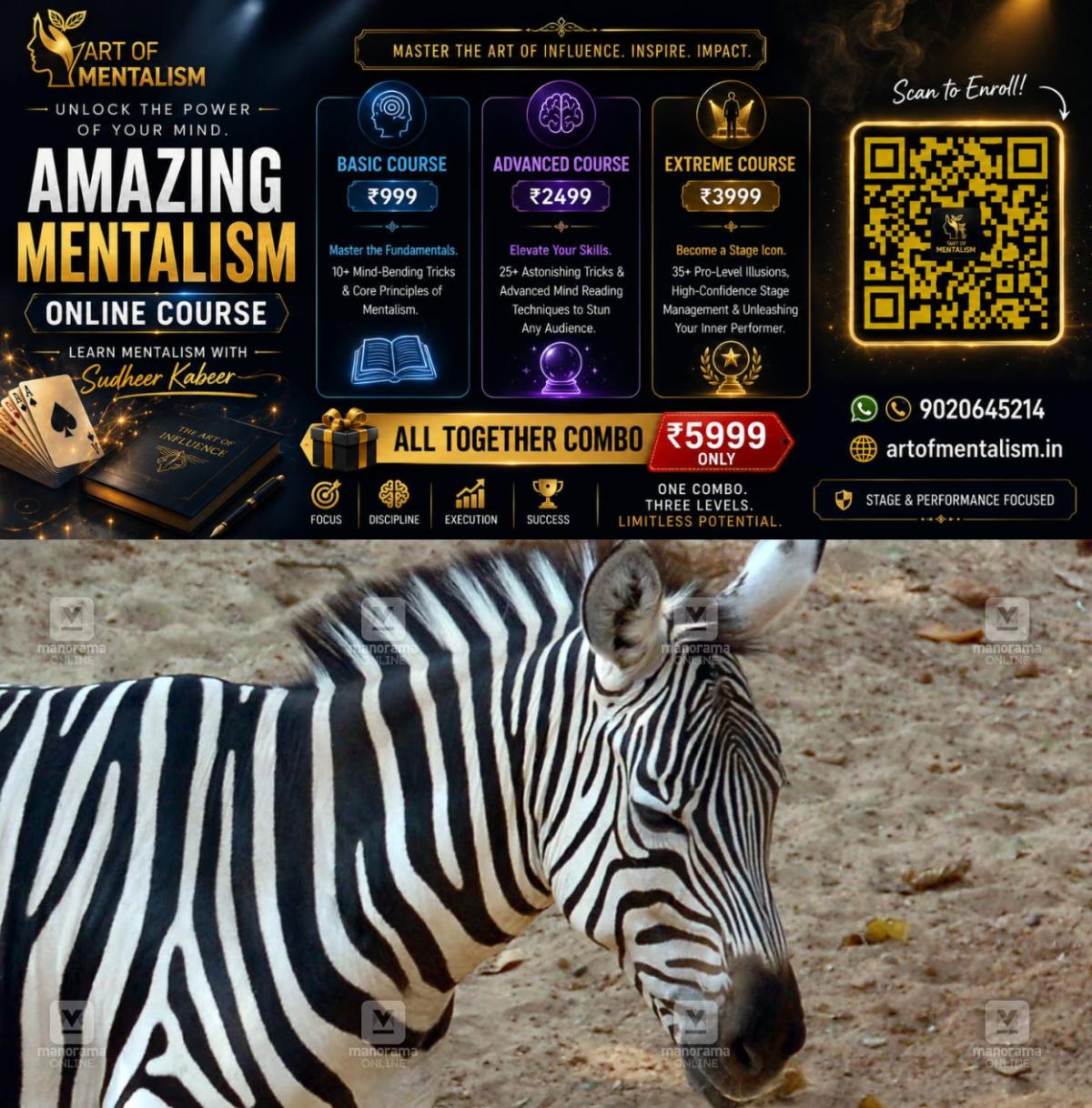 newskerala.net_1786857788_1786857733_zebra