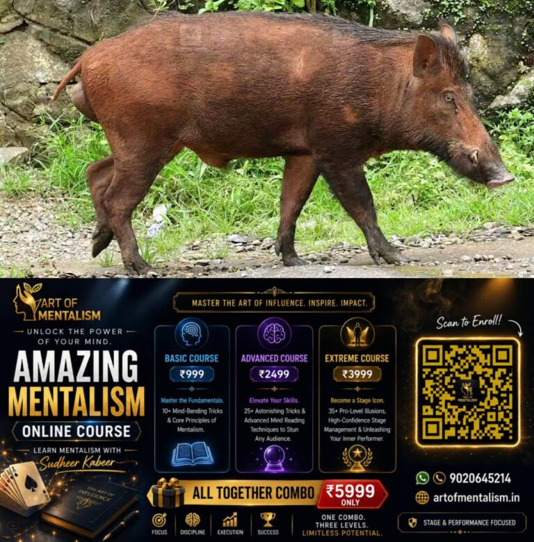 newskerala.net_1787029685_local-new-wild-boar