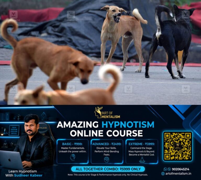 newskerala.net_1787030168_Stray-dog-fight
