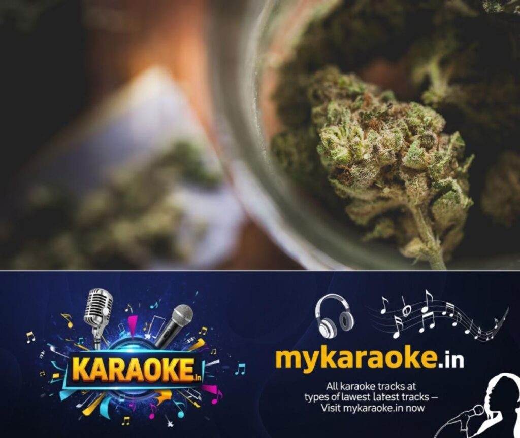 newskerala.net_1787128205_ganja