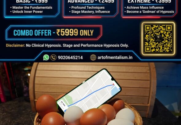 newskerala.net_1787259126_eggs-basket-kitchen-counter