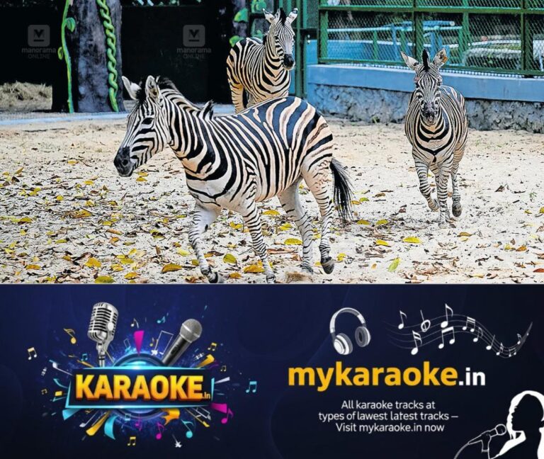 newskerala.net_1787279528_thiruvananthapuram-zoo-zebra-1