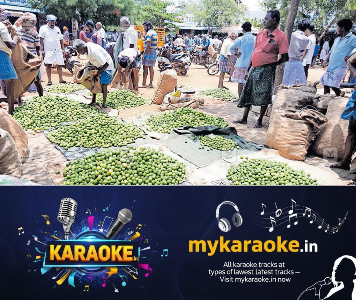 newskerala.net_1787279646_lemon-market-1