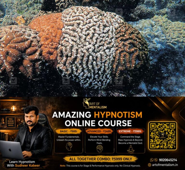 newskerala.net_1787288048_corals-1