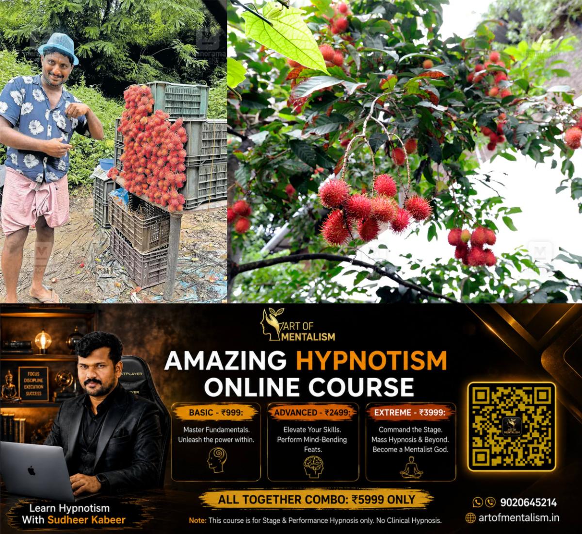 newskerala.net_1787288525_sq-rambutan-1