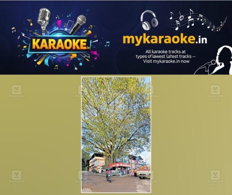 newskerala.net_1787406364_vithura-chanthamukku-tree-threat-1