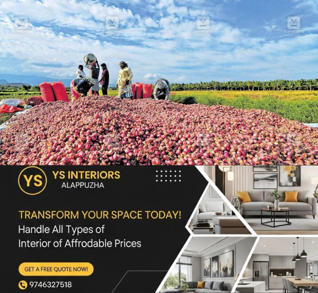 newskerala.net_1787456107_onion